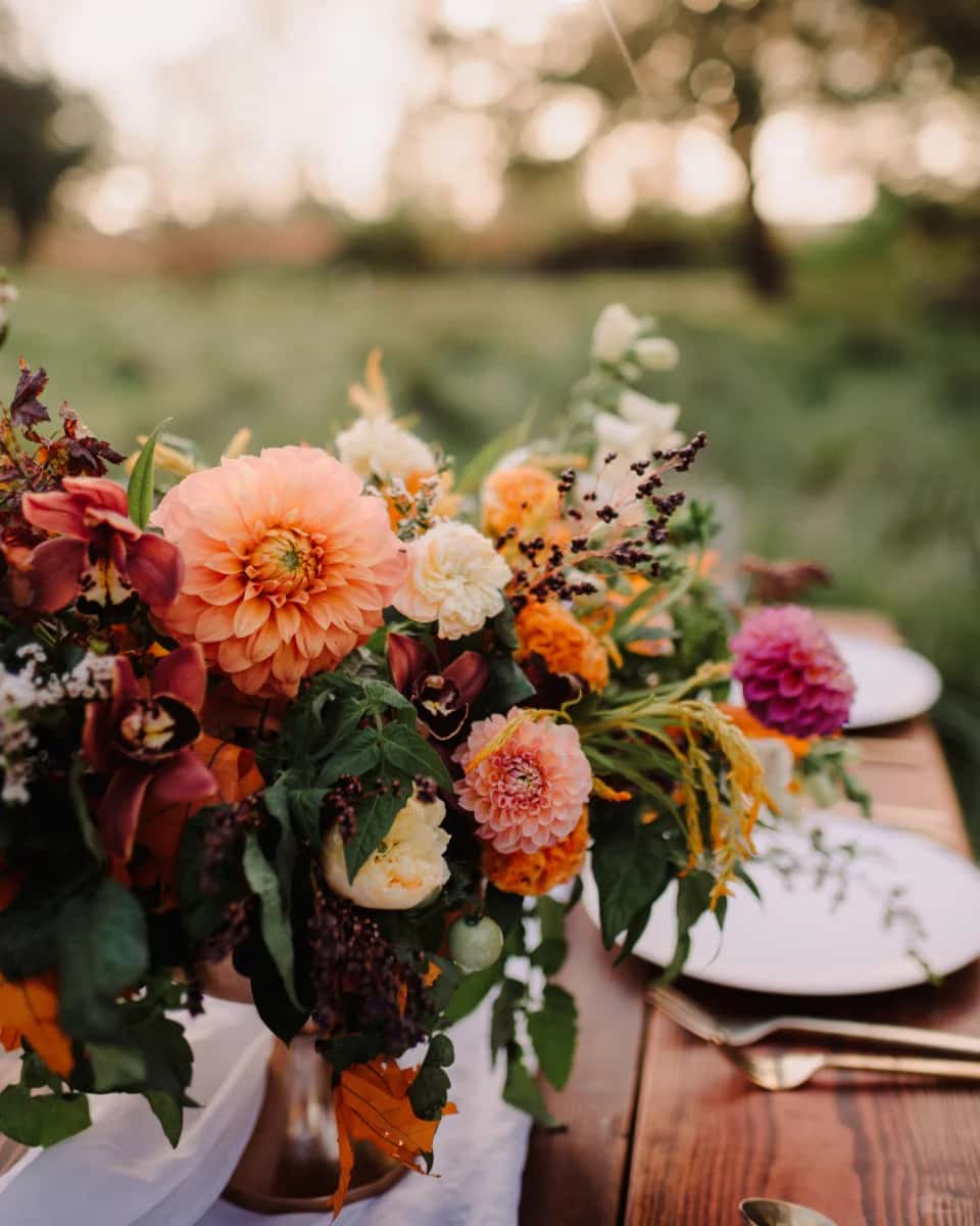 Peach dahlias, orchids and garden roses on a wooden table at golden hour