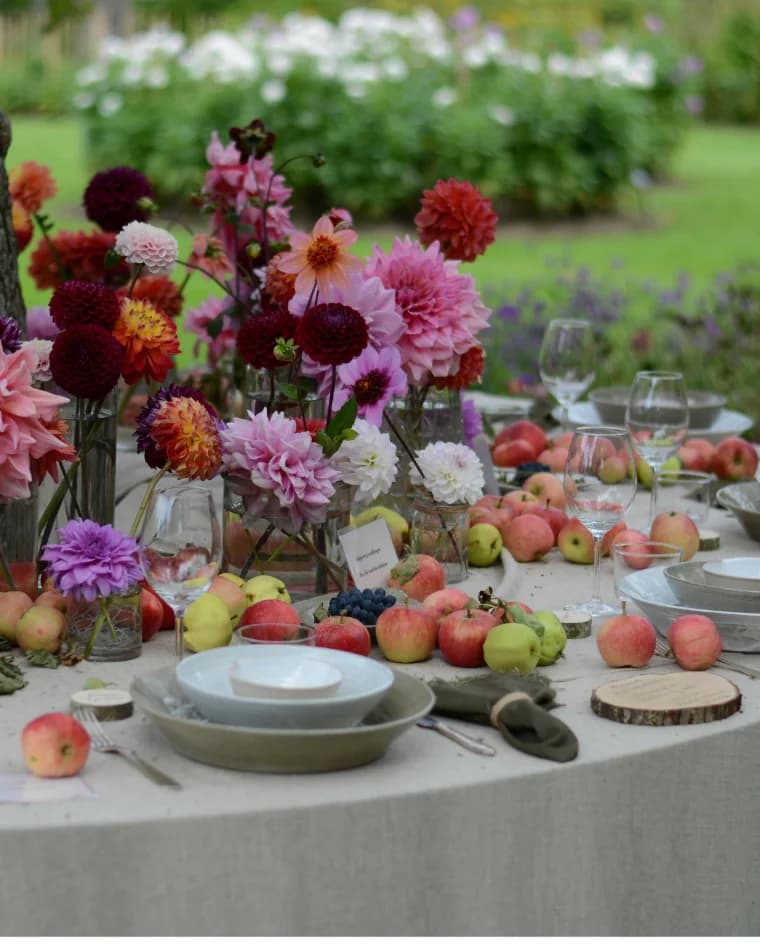 A garden table set with pink, orange and burgundy dahlias, apples and stoneware