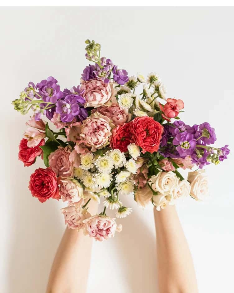 A hand-tied bunch of garden roses, purple stock and white daisies held up against a white wall